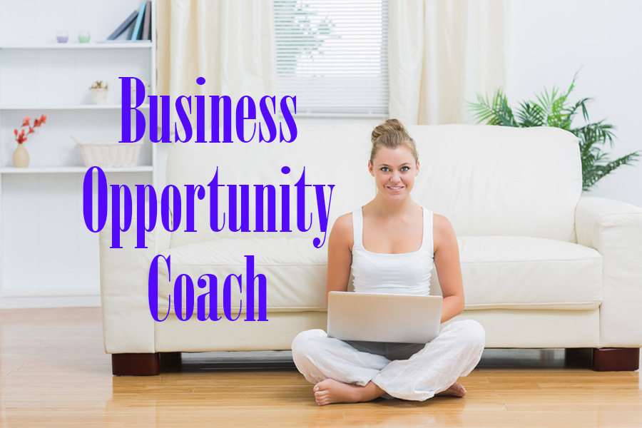 Starting a Business Opportunity Businesss